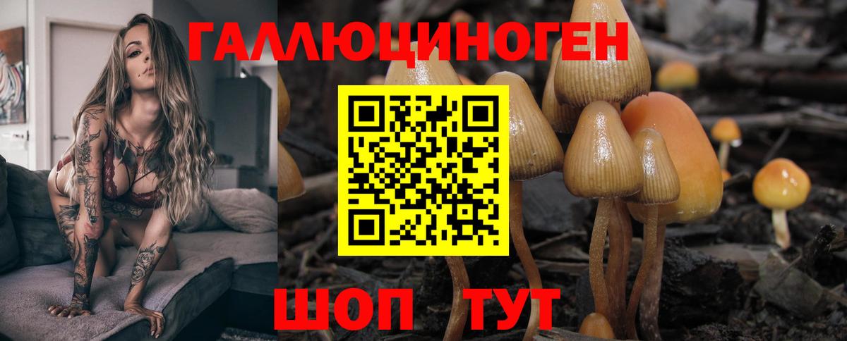Галлюциногенные грибы Psilocybine cubensis  Вход с VPN  закладка  Галлюциногенные грибы Cubensis  Нововоронеж 